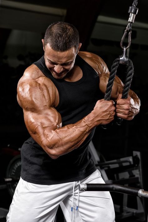 Elite Recovery and Performance